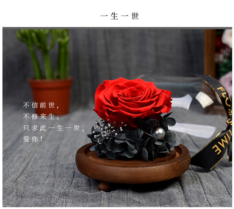 Eternal永恒系列携手白头巨型永生玫瑰花