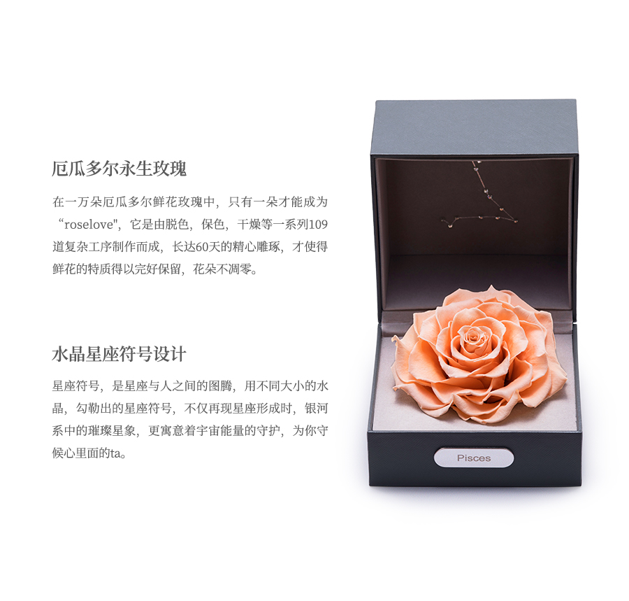 Roselove永生花星座守护色-双鱼座